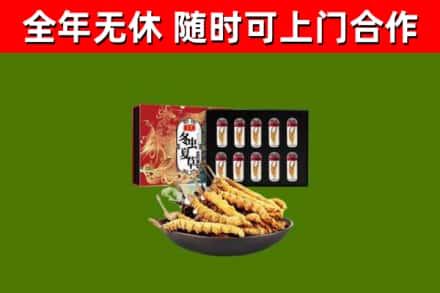 泸州烟酒回收冬虫夏草礼盒.jpg